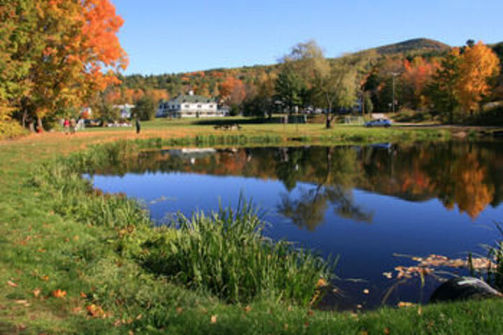 Property Grounds 32 of 38