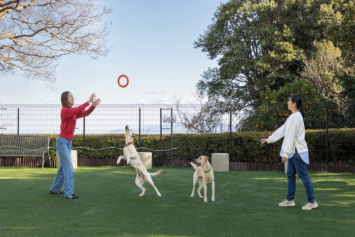 Pet Friendly 49 of 72