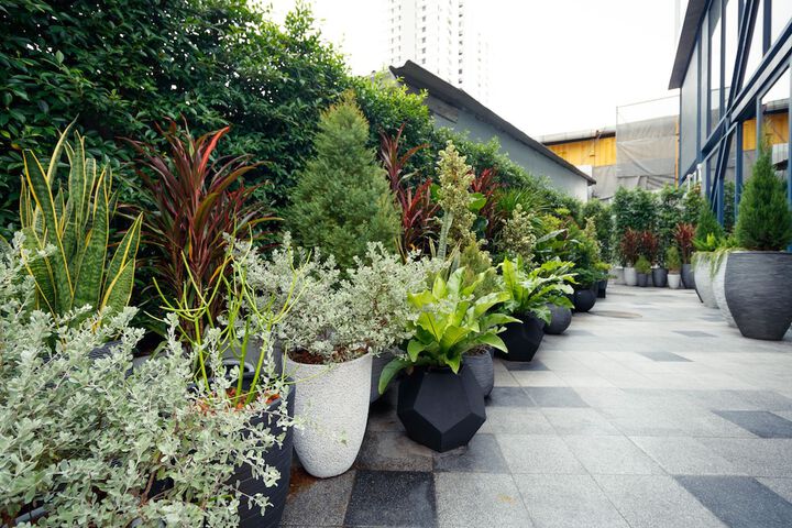 Hotel Exterior 101 of 103