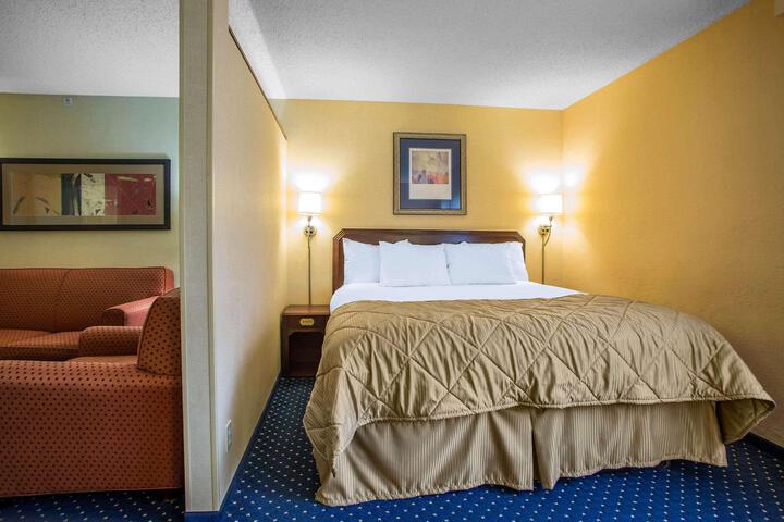 1 King Bed (5 of 7)