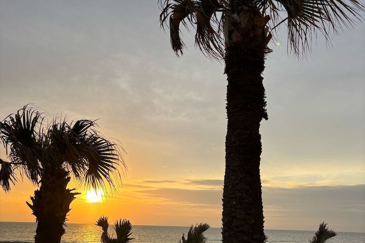 Beach 56 of 79