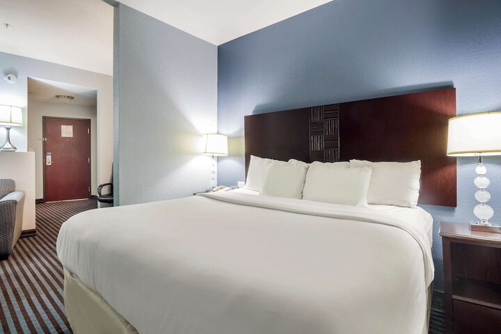 1 King Bed (7 of 8)