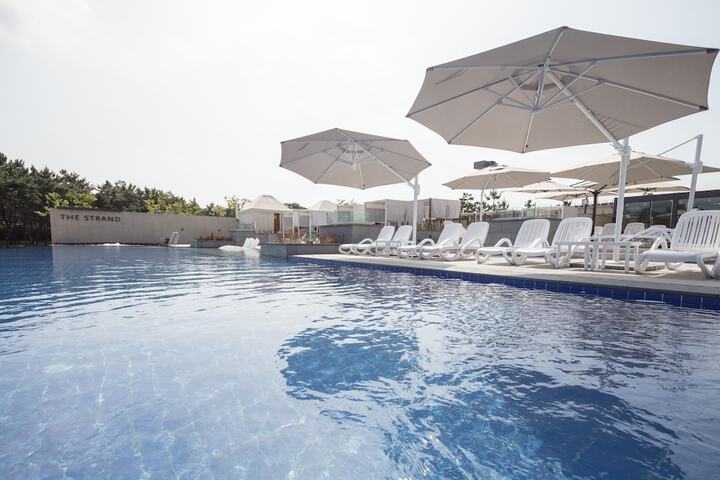 Pool 77 of 161