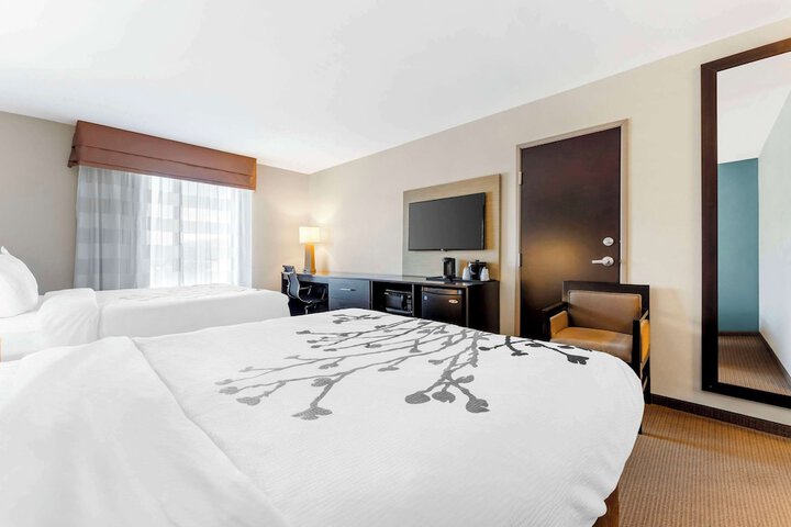 Quadruple Accessible Queen Size Bed (10 of 12)