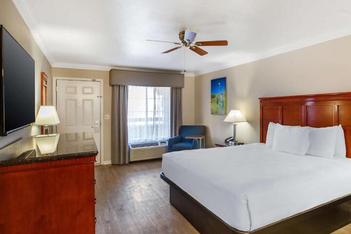 1 King Bed (15 of 18)