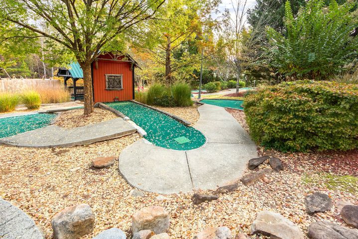 Mini-golf