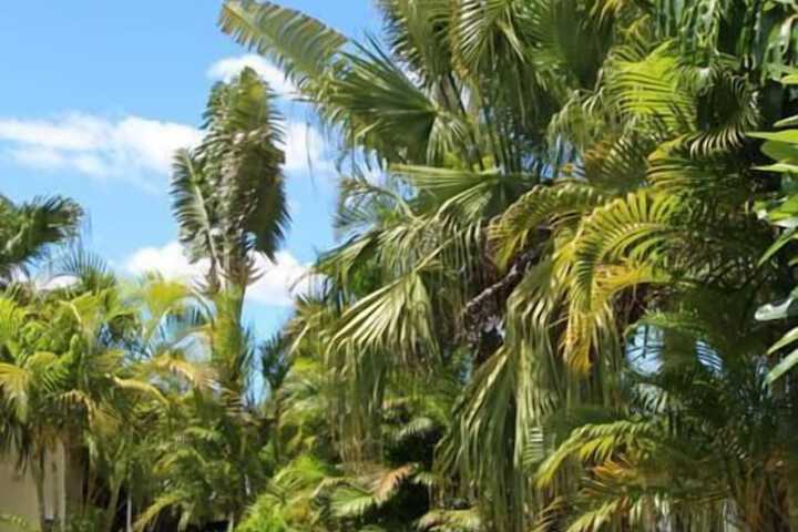 Property Grounds 24 of 35