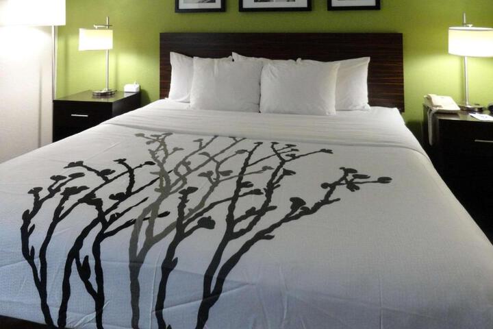 1 King Bed (2 of 2)