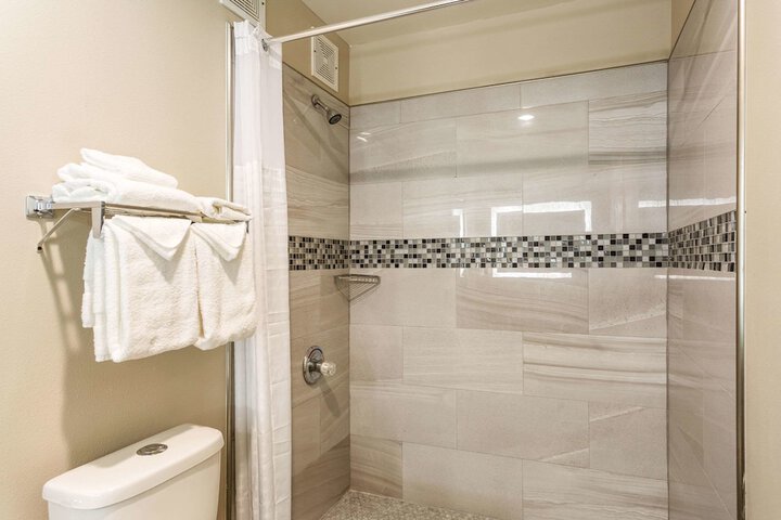1 King Bed Accessible (14 of 18)