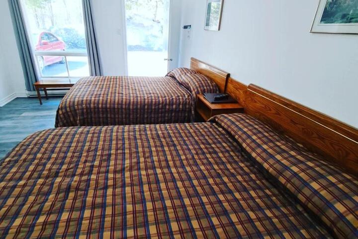 2 Double Beds (1 of 3)