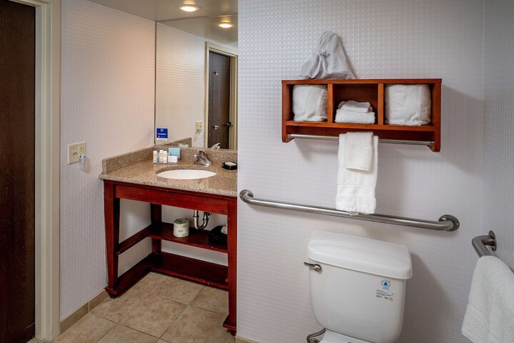 1 Queen Mobility Accessible Roll in Shower (9 of 10)