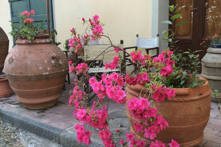 Terrace/Patio 78 of 81
