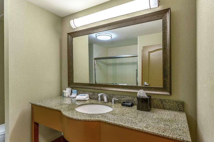 1 King Mobility Hearing Accessible with Tub (7 of 18)