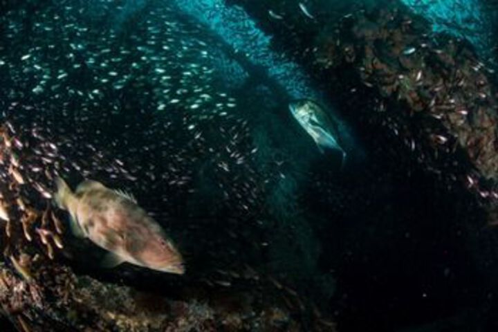 Water Sports 2 of 27