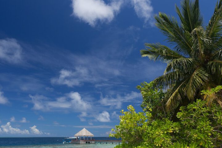 Beach 51 of 69