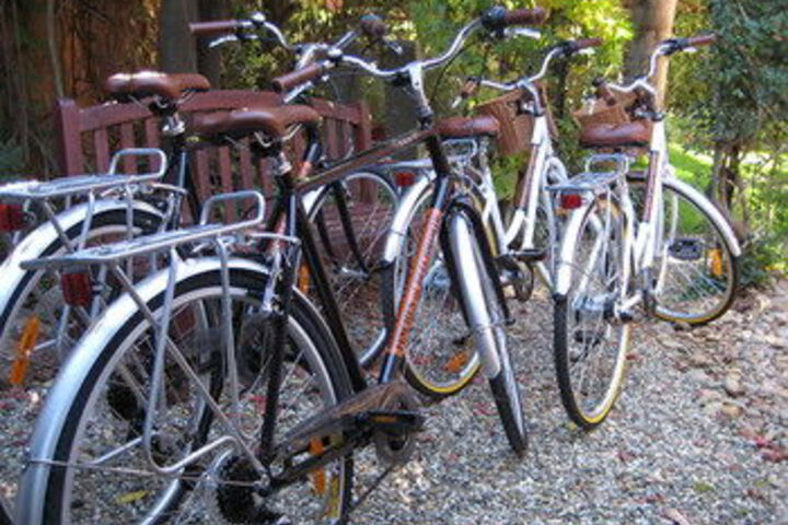 Outdoor Activities 8 of 49