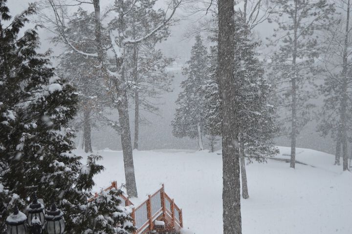 Property Grounds 16 of 19