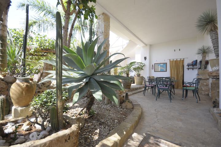 Terrace/Patio 17 of 39