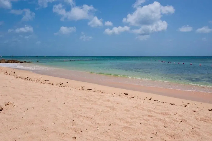 Beach 8 of 11
