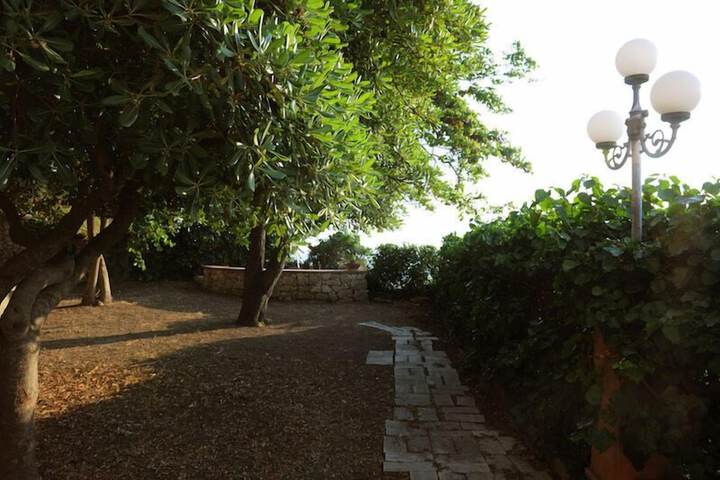Property Grounds 28 of 61