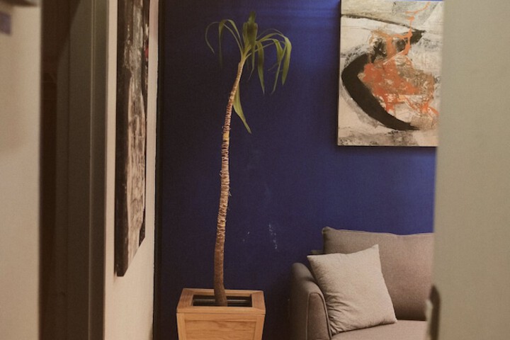 Room 42 of 65