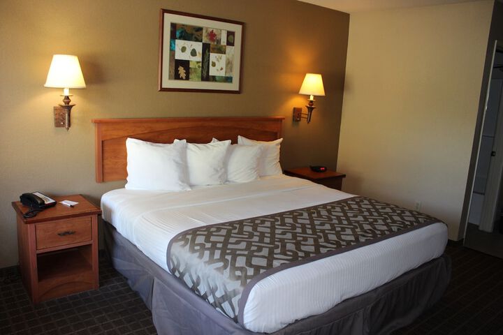 1 King Bed (12 of 15)