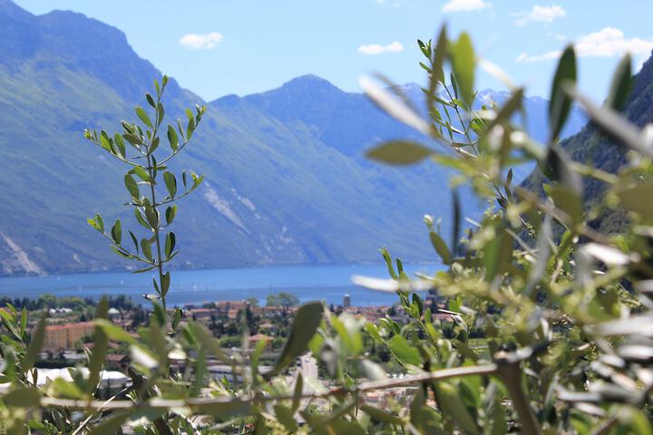 Hotel View 64 of 65