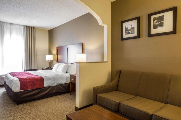 1 King Bed Suite (14 of 18)