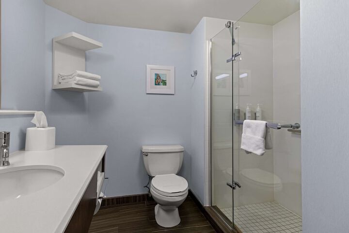 Bathroom shower