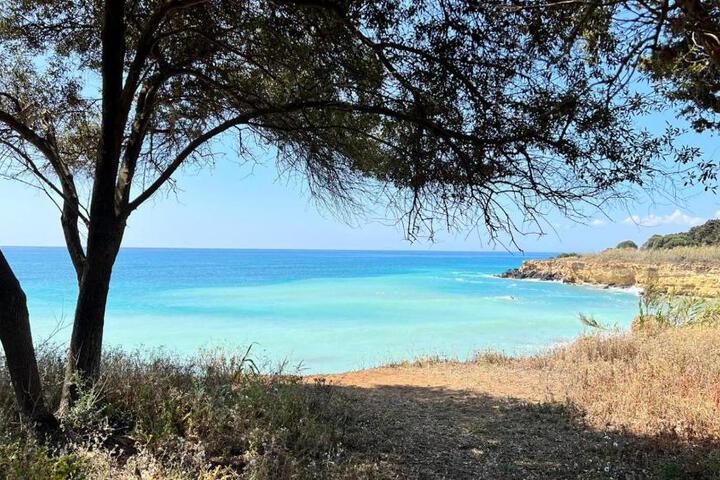 Photo 29