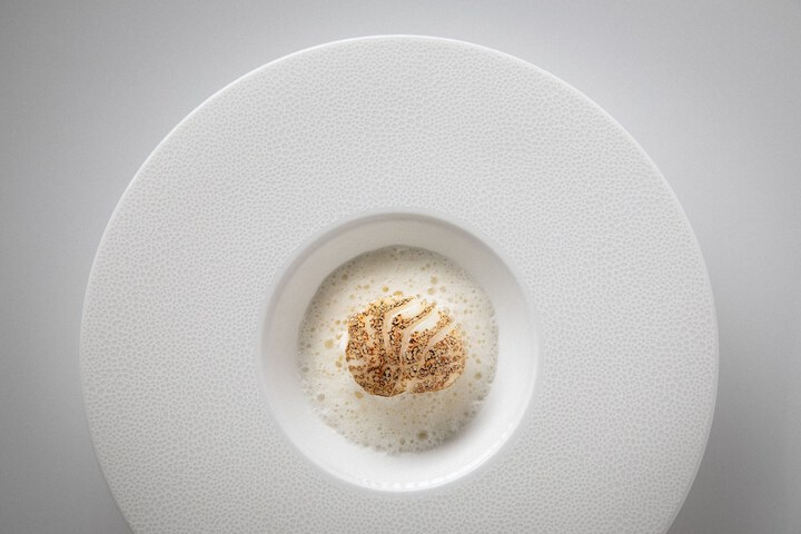 Dining 58 of 72