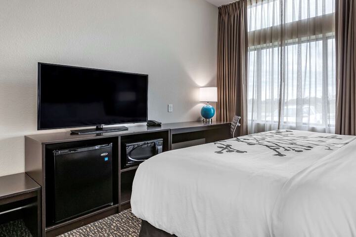 1 King Bed (1 of 13)