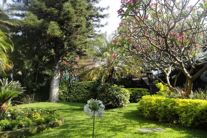 Property Grounds 61 of 68