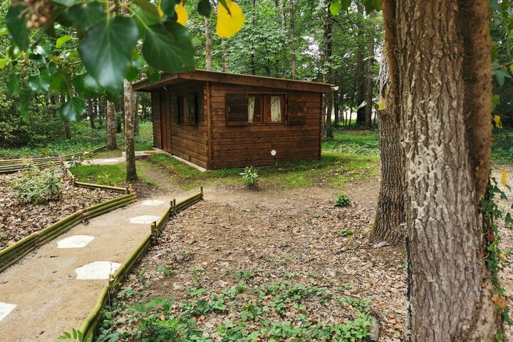 Room 5 of 55