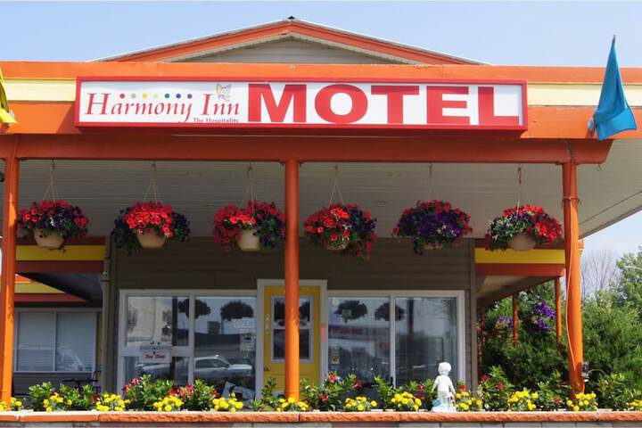 Terrace/Patio 45 of 59