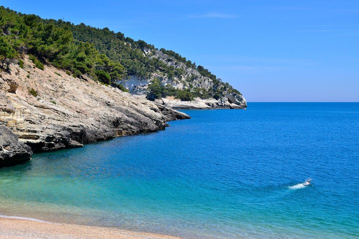 Beach 56 of 78