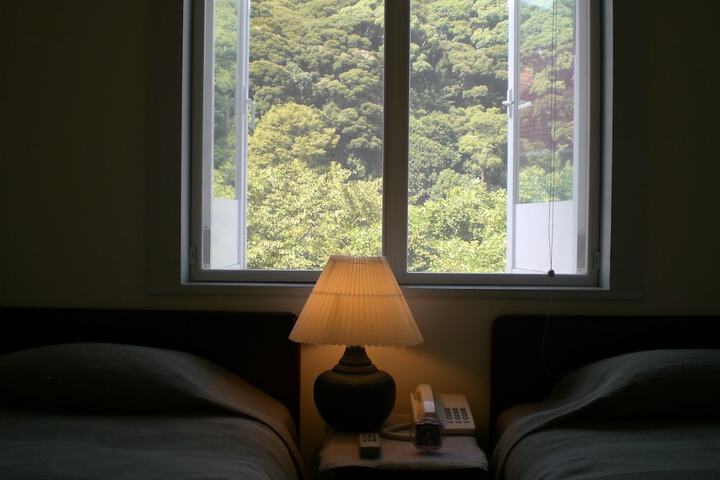 View from room