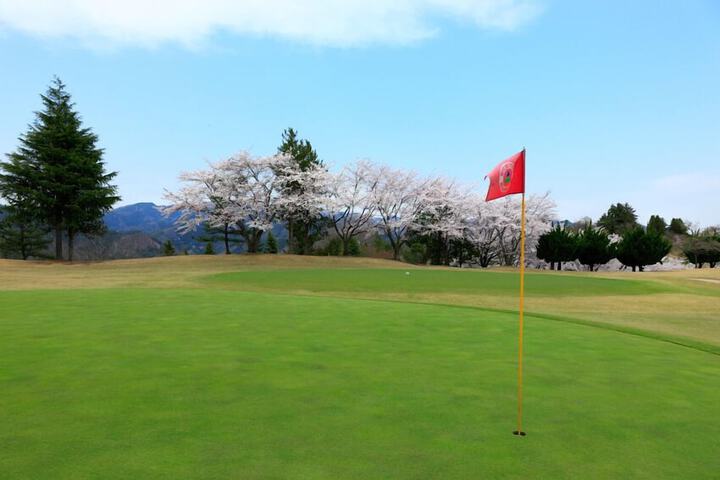Golf 5 of 14