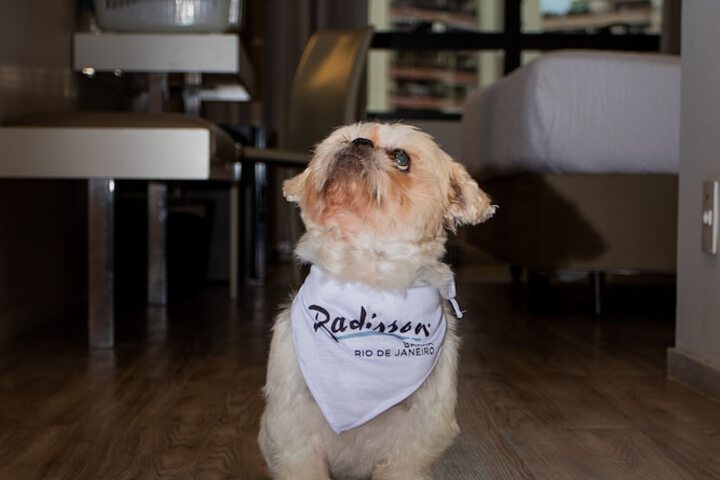 Pet Friendly 114 of 141