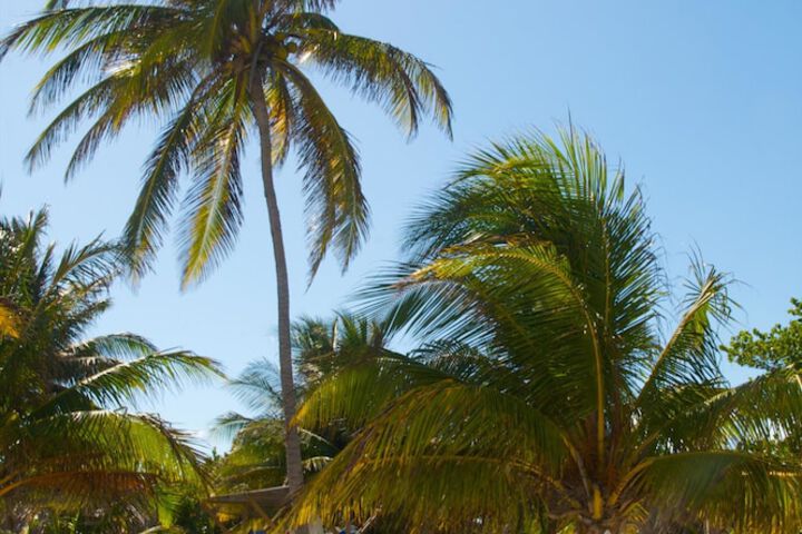 Beach 71 of 80