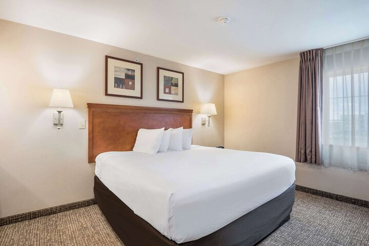 Standard | King Bed (4 of 22)