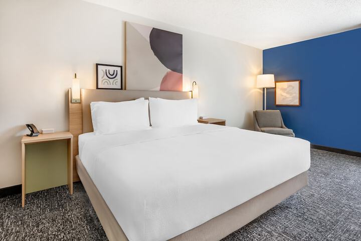 1 King Bed (8 of 15)