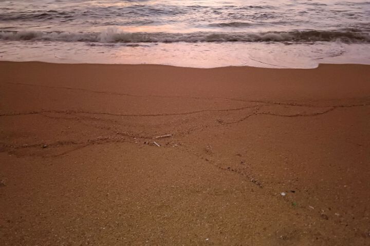 Beach 19 of 67