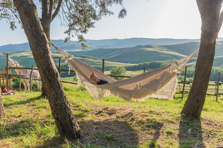 Fattoria Lischeto in Volterra