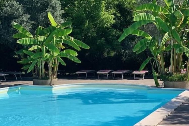 Hotel Pool