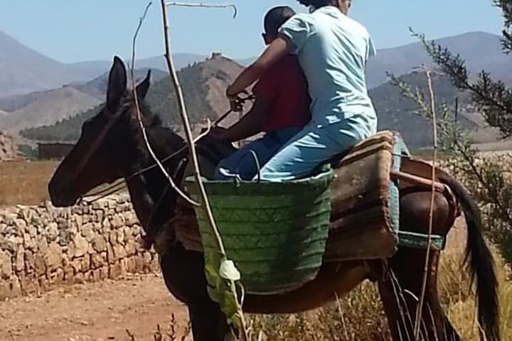 Outdoor Activities 17 of 40