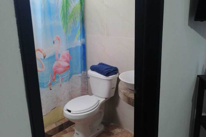 Room 42 of 62