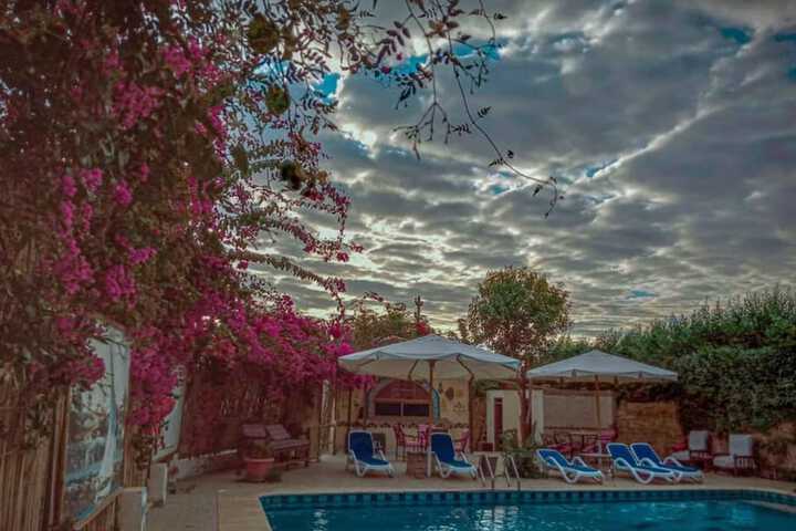Pool 57 of 107