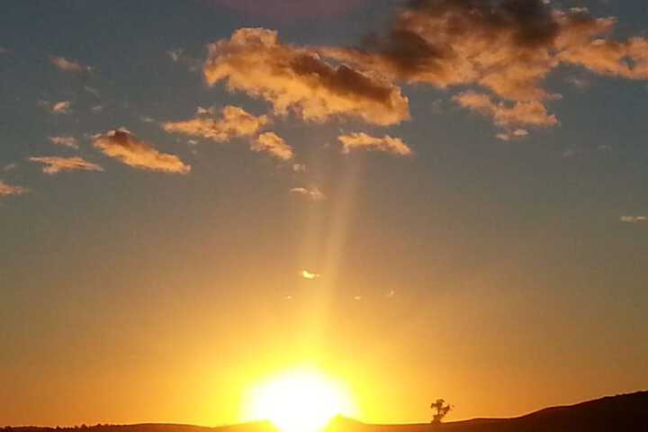 Property Grounds 13 of 22