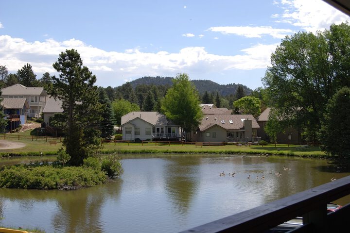 Garden view